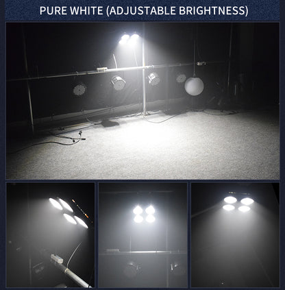 4 Eyes 4*100W DMX512 LED COB Blinder Audience Spot Light